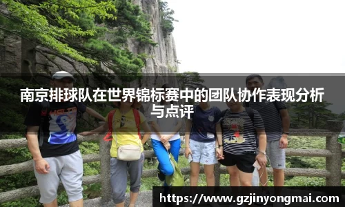 南京排球队在世界锦标赛中的团队协作表现分析与点评