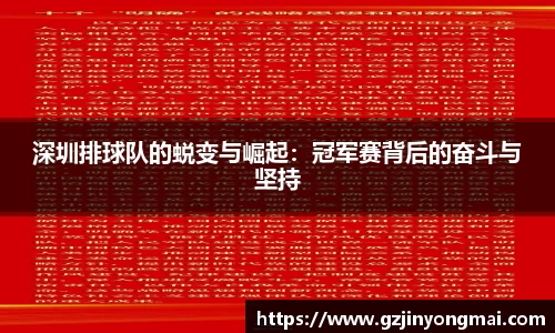 深圳排球队的蜕变与崛起：冠军赛背后的奋斗与坚持